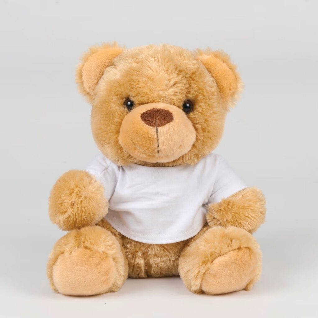 Ours en peluche avec t-shirt marron